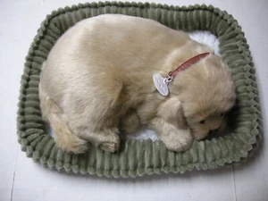 Perfect Petzzz Breathing Golden Retriever With Plush Bed,  Brand New - Picture 1 of 3