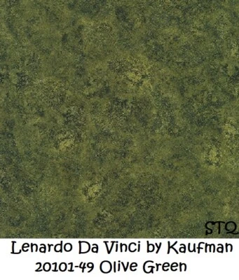 Tela de edredón de algodón Leonardo Da Vinci Tonal de Kaufman BTY 20101-49 verde oliva Foto 1 de 4