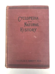 1887 Cyclopedia of Natural History Charles C. Abbott M.D. 500 Illustrations - Picture 1 of 12