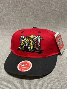 Batavia Muckdogs Hat Cap Youth Red Adjustable Embroidered Minor League Baseball - Picture 1 of 8
