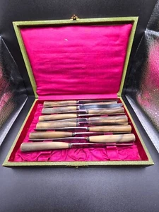 vintage set of 11 Virole Argent Paris horn handled dinner knives - Picture 1 of 11