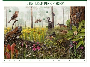 Scott 3611 34¢ Longleaf Pine Forest MNH Free Shipping in the USA - Picture 1 of 1