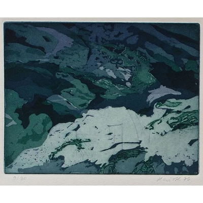 Helga Wirth Natur Abstrakt Zeitgenössische Kunst sign Farbradierung 1976 9/30 - Bild 1 von 4