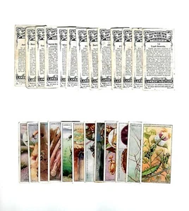 CIGARETTE CARDS. L & B Tobacco. WONDERS OF NATURE. (Full Set of 25). (1926). - Picture 1 of 1