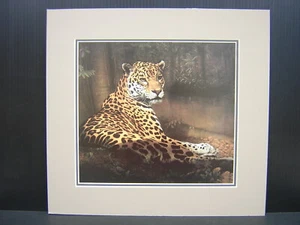 Charles Frace Jaguar Resting by Pool Mini Stampa Arte Opacata - Foto 1 di 2