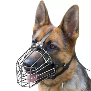 German Shepherd muzzle made of chrome plated metal with adjustable leather strap - Picture 1 of 9