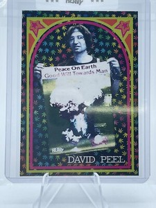 Heavy Trading Cards #9 David Peel RC 420 SP /35 Gas G.a.s. Chase Card Free Ship