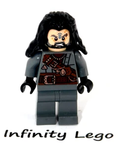 LEGO Pirate of Umbar Minifigure Lord of the Rings Return of the King Ship 79008 - Picture 1 of 3
