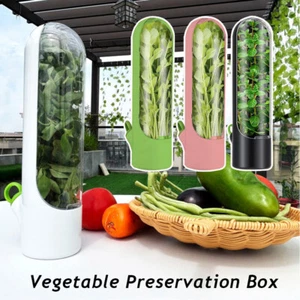 Greens Keeper Vegetable Fresh-keeping Device 1Pcs Vanilla Fresh-keeping Box - Picture 1 of 28