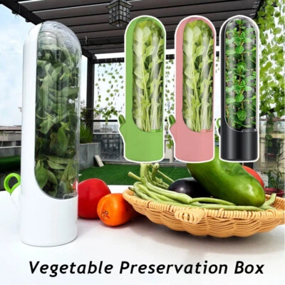 Greens Keeper Vegetable Fresh-keeping Device 1Pcs Vanilla Fresh-keeping Box - Image 1 of 4
