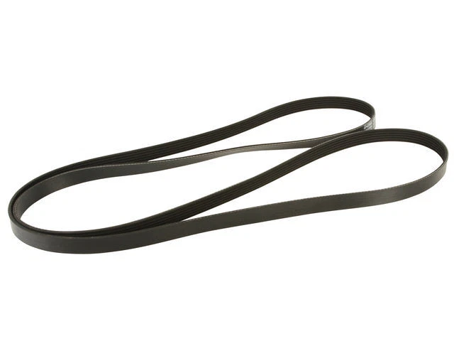 Dayco 87BH79J Multi Rib Belt Fits 2006-2007 Kia Optima 2.4L 4 Cyl - Image 1 of 1