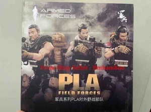 Joytoy Dark Source 1/18 PLA Field Forces Team Soldaten Modell Selten Sammlung Spielzeug - Bild 1 von 15