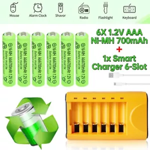6Pcs 1.2V AAA Ni-MH Rechargeable Batteries 700mAh + USB 6-Slot Battery Charger - Picture 1 of 12
