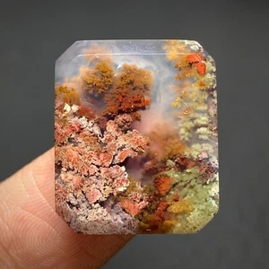 Cabujón de ágata musgo escénico 20x17x4 mm alta calidad 14,5 quilates - Imagen 1 de 7