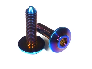 BMW Titane M5x20 Corps Vis Sans Col 46638527780 Cylindrique Tête Torx T25 - Picture 1 of 6