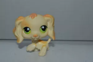 Littlest Pet Shop~#347~Cocker Spaniel~Puppy Dog ~Yellow Orange~Green Dot Eyes - Picture 1 of 3