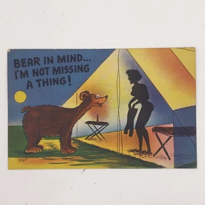 Colourpicture 1267 Comic Linen Postcard Camping Sexy Woman Shadow Bear 1940s - Picture 1 of 4