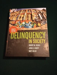 DELINQUENCY IN SOCIETY - Robert Regoli, Matt Delisi &John Hewitt 2010 Eighth Ed. - Foto 1 di 12