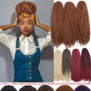 US Kinky Curly Crochet Braid Afro Hair Bulks for Soft Locs Marley Twist Braiding - Picture 1 of 35