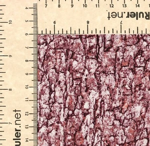 Tree Bark Brown Fabric Elizabeth’s Studio 1 YD 100% Cotton #250 - Picture 1 of 1