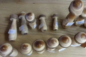 Pilz aus Holz mittelgroß teils mit Rinde 4 und 13 cm Kappe 4 - 10 cm 301 - 347 - Bild 1 von 40