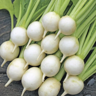 Turnip Seeds Sweet Marble F1 - 100 Fresh Salad Vegetable Seeds to Grow/Plant UK - Image 1 of 3