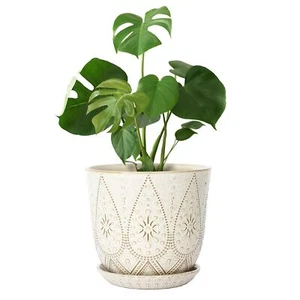 10 Inch Creamy White Ceramic Planter with Drainage for Indoor Outdoor Plants - Picture 1 of 7