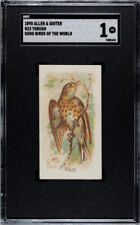 1890 N23 Allen & Ginter Thrush Song Birds of the World SGC 1