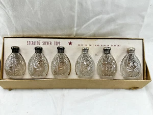 Canturbery 6 cocteleras de cristal sal pimienta tapas de plata de ley caja original 1950 - Imagen 1 de 6