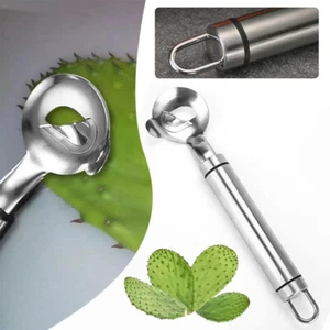 Stainless Steel Cactus Peeler Spoon 2pc Cuchara Peladora De Nopales Melon Baller - Bild 1 von 10