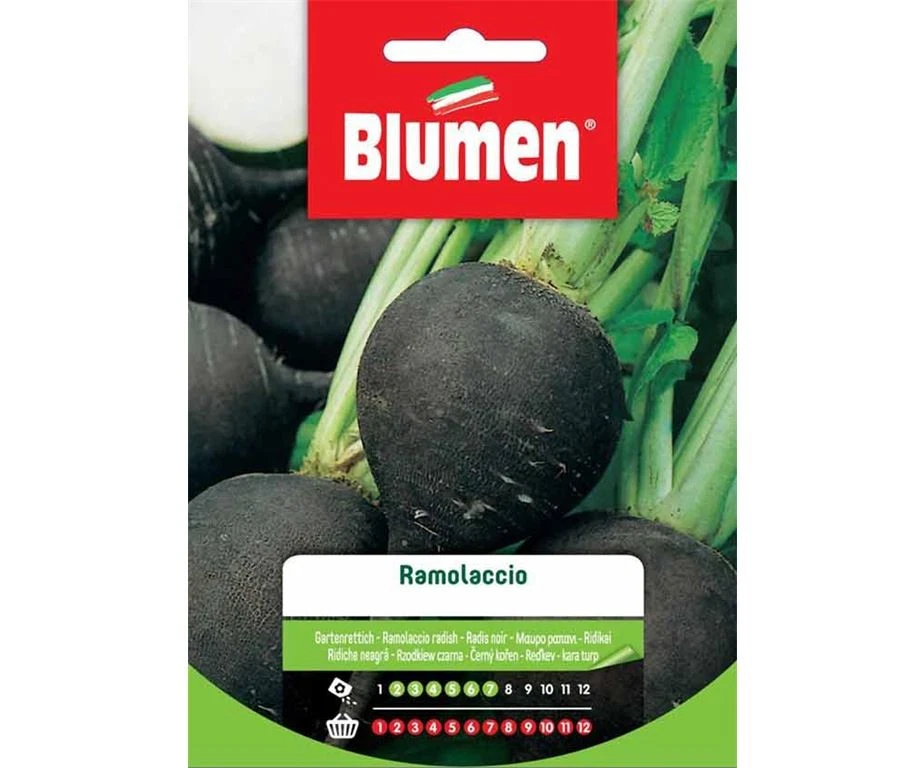 SEMI RAMOLACCIO BLUMEN SEMENTI ORTO - Immagine 1 di 1