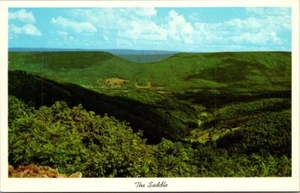 THE SADDLE Allegheny Front HIGHWAY 50 West Virginia WV Postcard - Picture 1 of 2