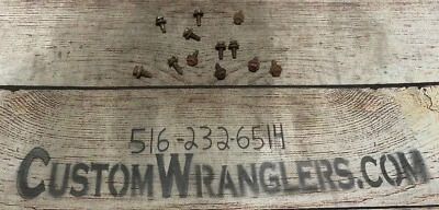 OEM JEEP WRANGLER TJ GUARDABARROS DELANTERO RUEDA POZO ÁREA MONTAJE PERNOS 97-02 pernos hexagonales Foto 1 de 4