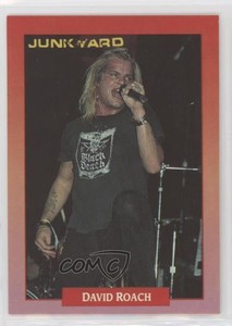 1991 Brockum RockCards David Roach #113 0f6