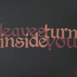 Unwound ‎– Leaves Turn Inside You 2 x CD SEALED NEW - Double Disc Deluxe Edition - Picture 1 of 3