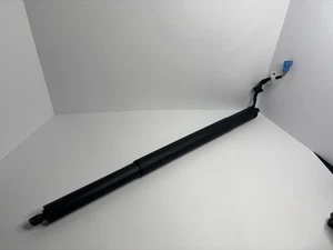 BMW 2019-2025 X7 Alpina XB7 cilindro elevador puerta trasera motor 51--24-9-482-803 - Imagen 1 de 5