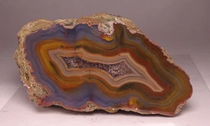 Condor Agate Half Nodule Collector Specimen Rock Argentina - Picture 1 of 5