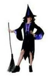 Girls Witch Halloween Costume Spider Black Purple Dress & Hat 2 Pc-size 12/14 - Picture 1 of 7