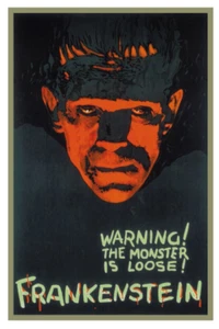 Frankenstein 1931 Movie Poster 12 x 18 - Picture 1 of 4