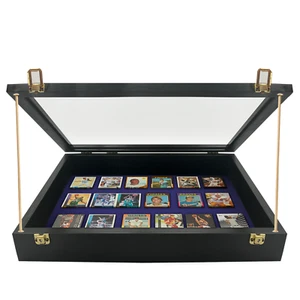 Vitrina para ferias - Tarjetas deportivas - Expositor de joyas - Pequeño 18"x22"x3" - Imagen 1 de 24