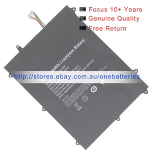Genuine 2865165-2P 30154200P battery for CUBE IWork 5X Thinker I33 I133K i1331 - Bild 1 von 7