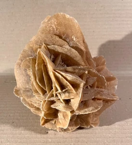 Wunderschöne grosse Sandrose Wüstenrose Sahara Gewicht ca. 1,2 kg - Bild 1 von 3