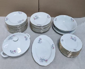 Richard Ginori servizio piatti in porcellana periodo 1960 usato 41 pezzi - Picture 1 of 24