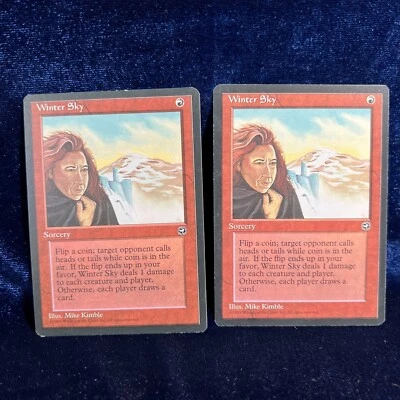 Winter Sky Homelands Rare MTG magic the Gathering Card RESERVED LIST 2 - Image 1 of 4