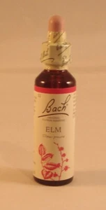 Bach Flower Remedies, Elm 20ml. BEST BEFORE at least 01/2027 - Picture 1 of 8