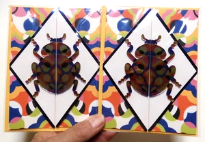 2 Cards Papyrus Beatle Scarab All Occasions Blank Inside by Lucas Wakamatsu - Picture 1 of 7