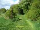 Photo 12X8 Bridleway And Footpath Church Westcote The Bridleway And The Fo C2010