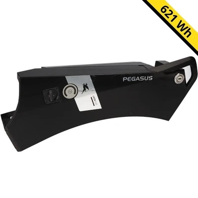 Alber Green Mover E-Bike Akku - 36V 17,25Ah 621Wh 23945-21 - Bild 1 von 4