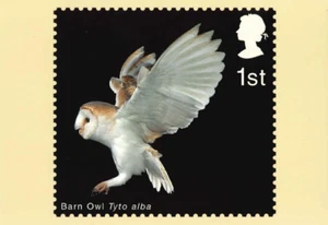 GB stamps 2003 Birds of Prey (Tyto alba) PHQ Mint unposted Number 249a - Picture 1 of 2