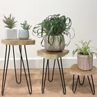 Set Of 3 Wooden Indoor Plant Stands - Rustic Flower Pot Table Holder Gamal Wood